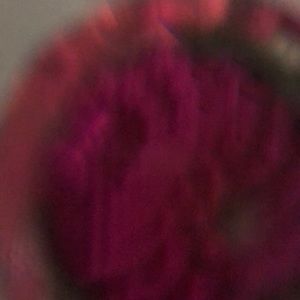 Meet your Posher, Bobbie